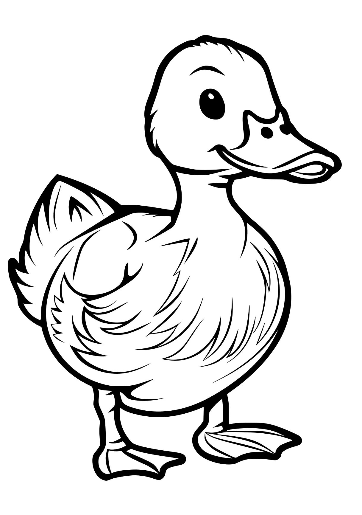 duck coloring page duck, bird, donald, chick, crane, free downloads