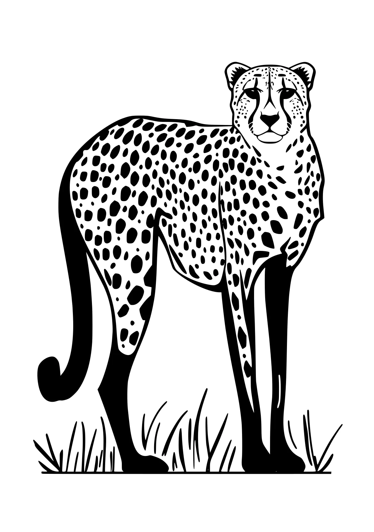 cheetah coloring page cheetah, leopard, jaguar, panther, safari, free downloads