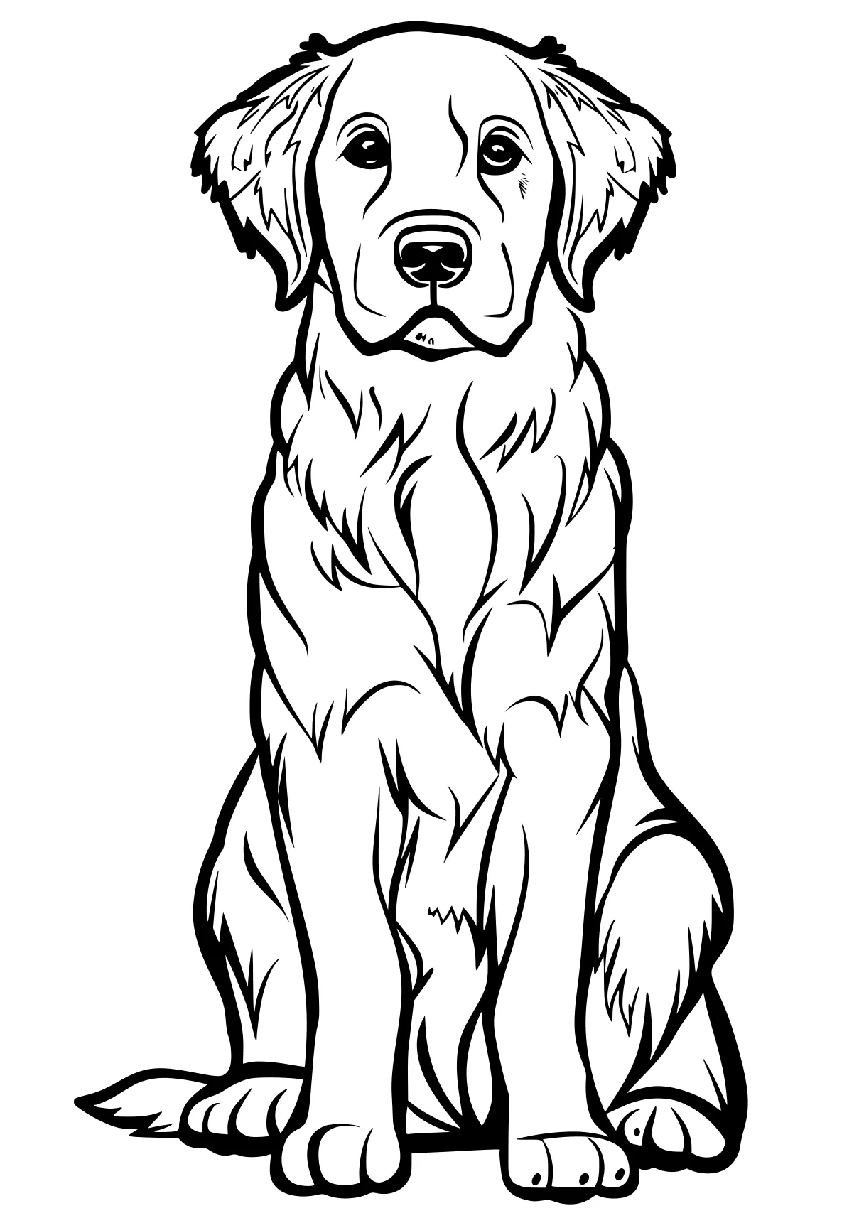 dog coloring pages retriever, dog, illustrator, free page downloads