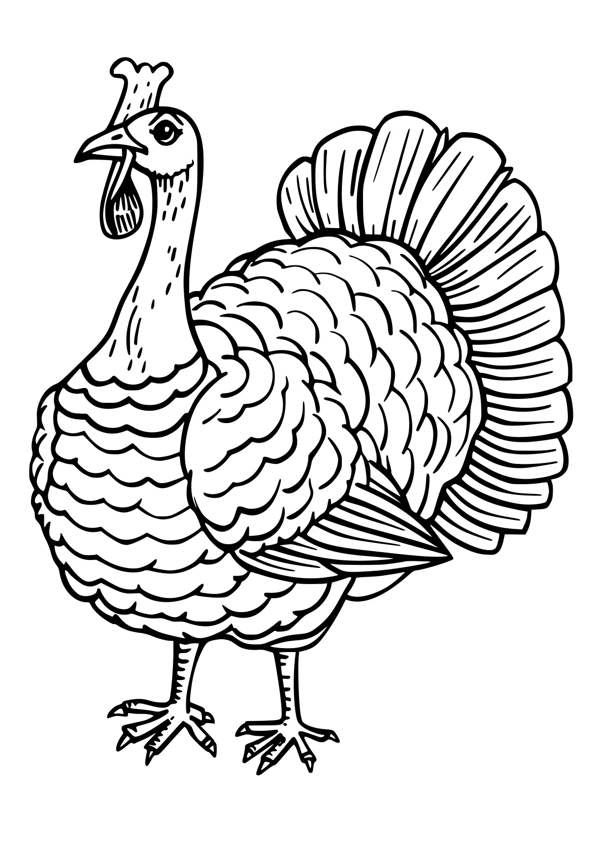 turkey coloring pages thanksgiving, turkey, rooster, size, free page downloads