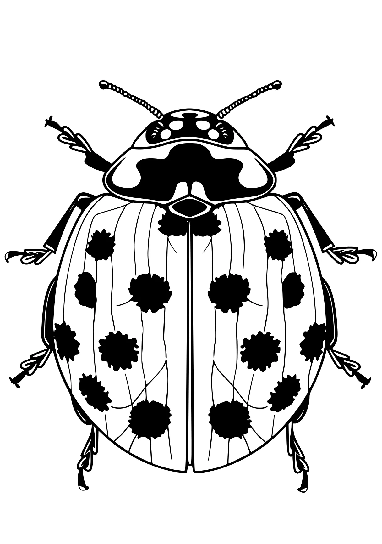 miraculous ladybug colouring pages bee, insect, insects, size, ladybug, free coloring page downloads