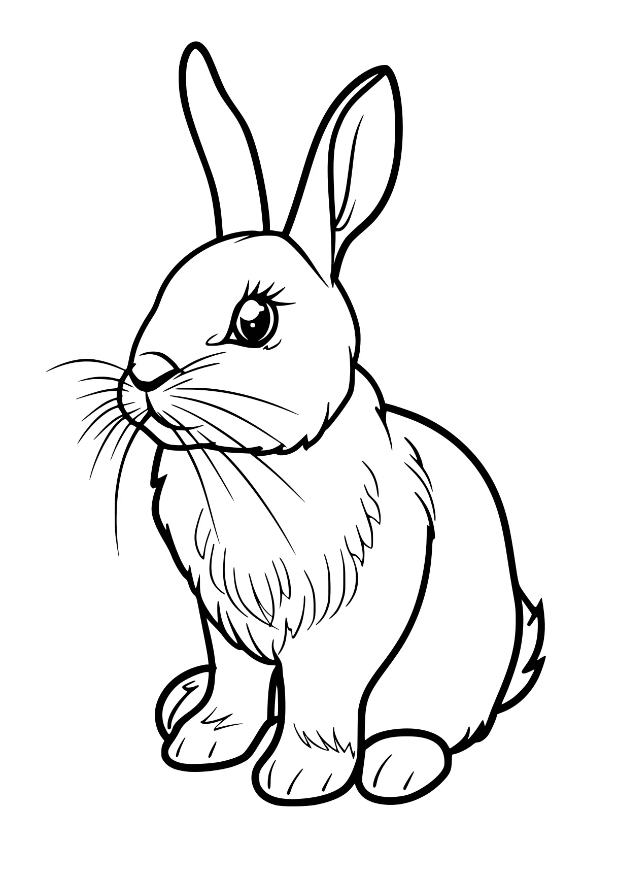 rabbit coloring pages rabbit, bunny, scorbunny, carrot, illustrator, free page downloads