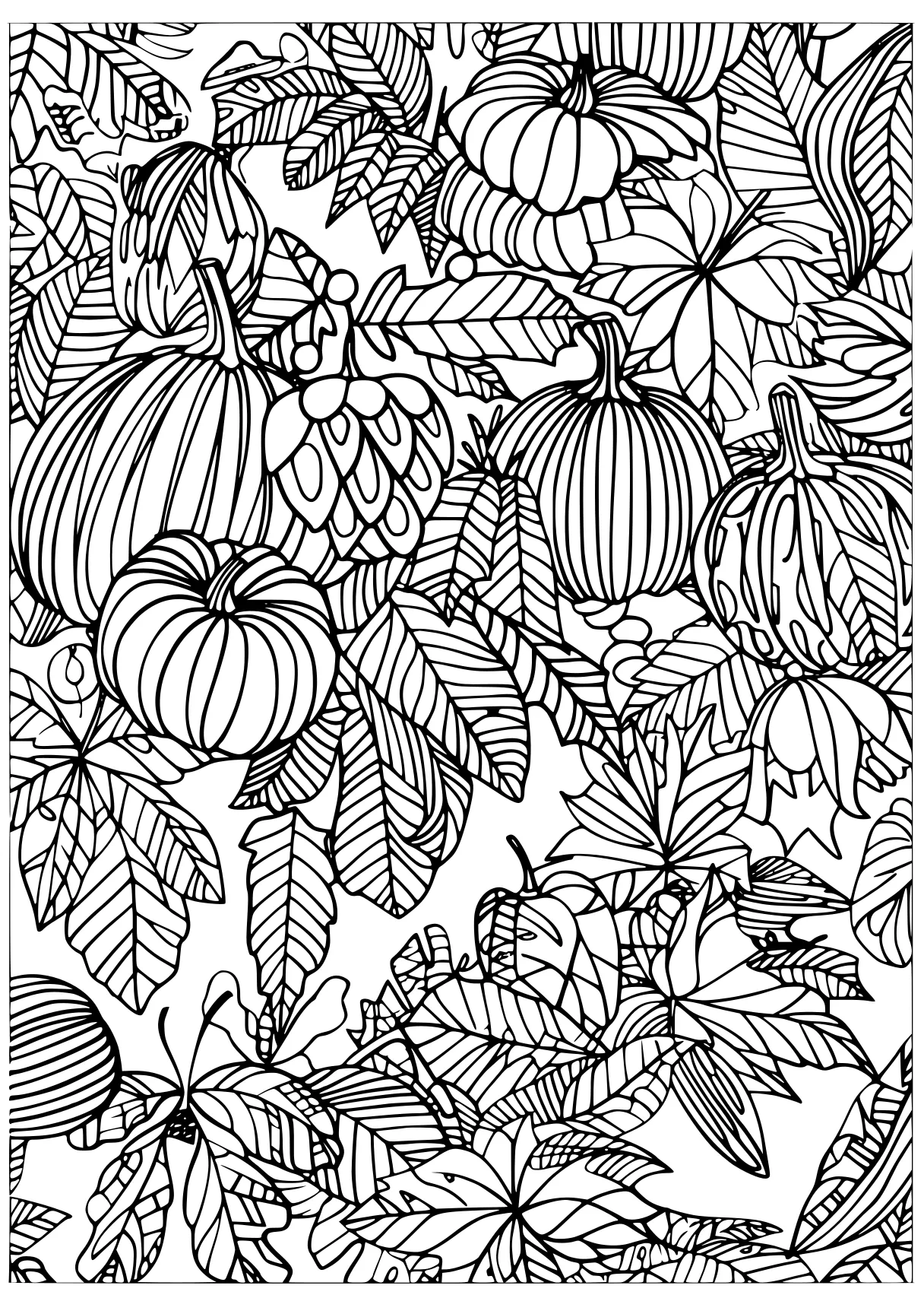 coloring pages printable adult, acorn, plants, pattern, free page downloads