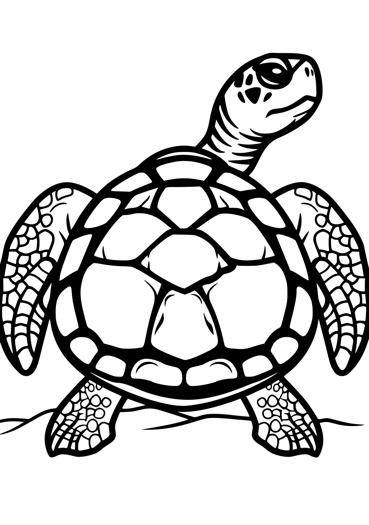 turtle coloring pages turtle, turtles, size, squirtle, illustrator, free page downloads