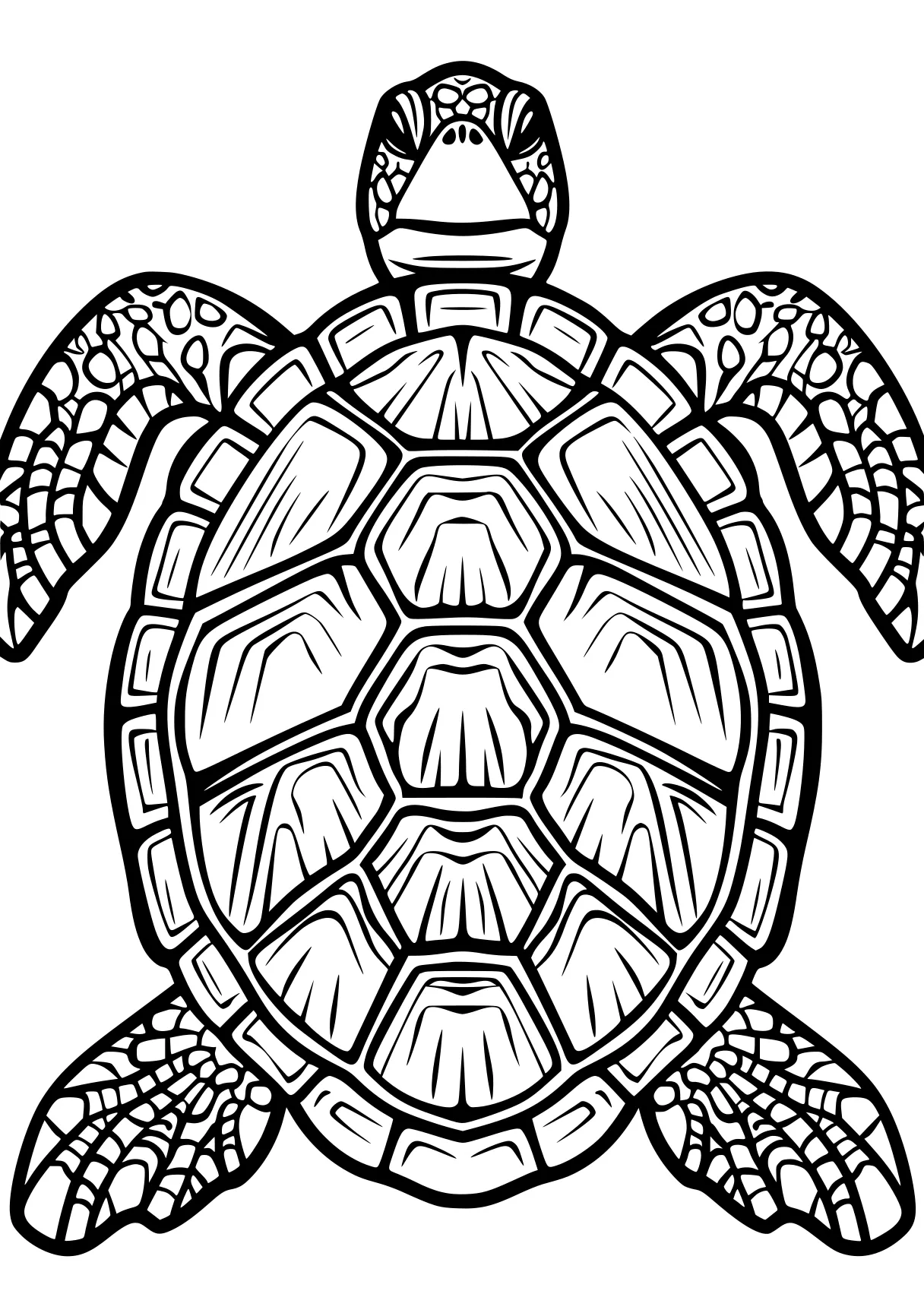 turtle pictures to color turtle, turtles, squirtle, free coloring page downloads