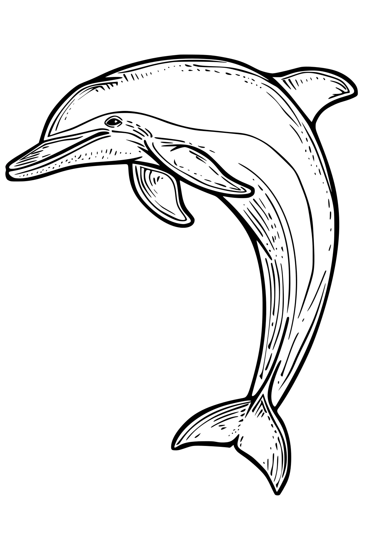 dolphin coloring sheet dolphin, whale, whales, orca, narwhal, free page downloads