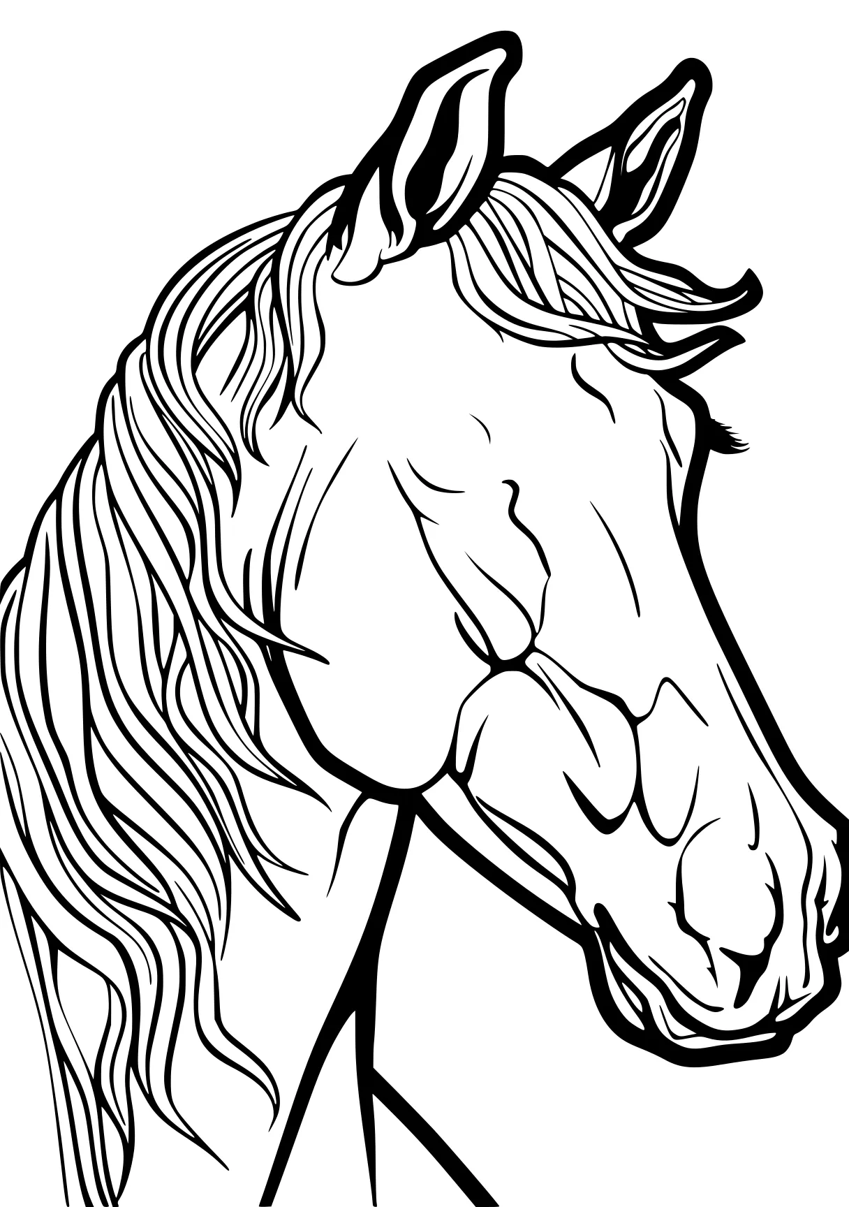 horse coloring sheet horse, pony, unicorn, pegasus, rarity, free page downloads