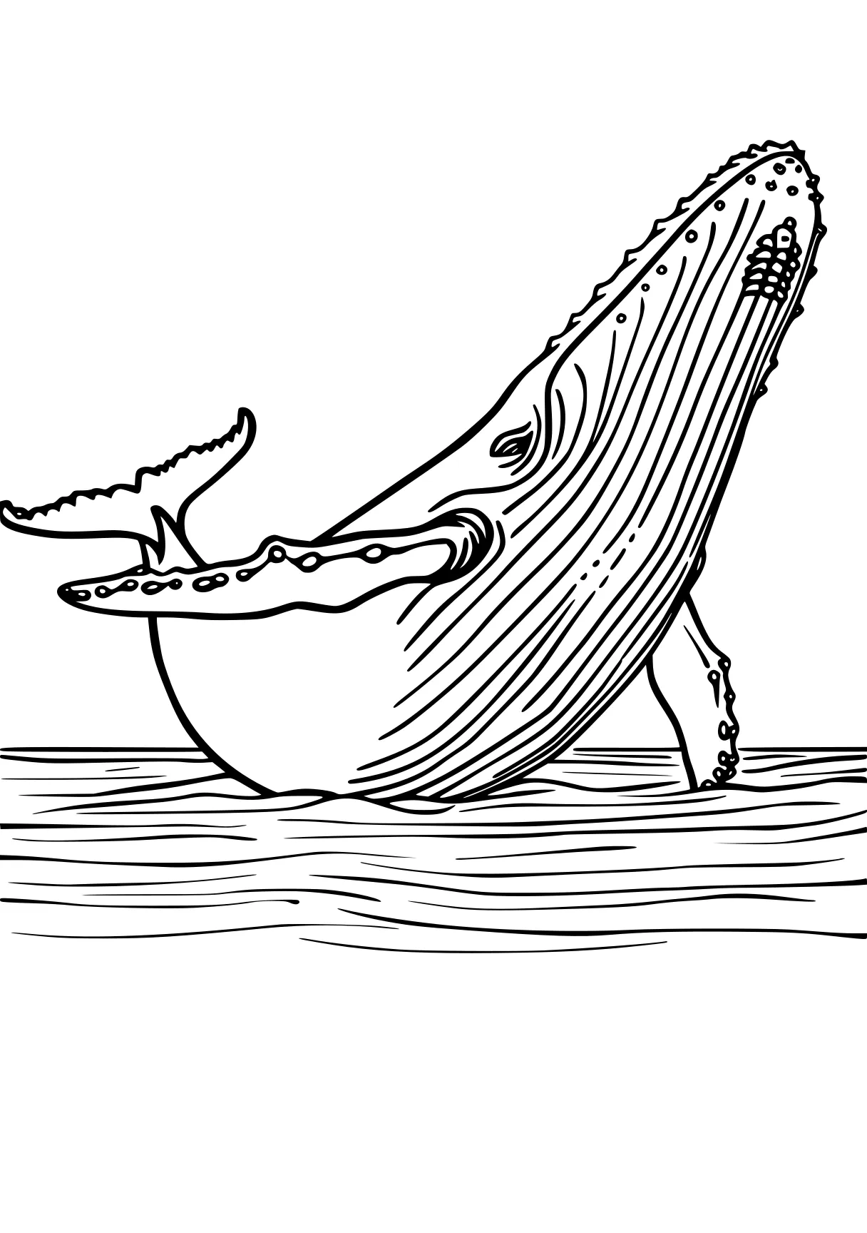 whale coloring pages whale, whales, mosasaurus, narwhal, dolphin, free page downloads