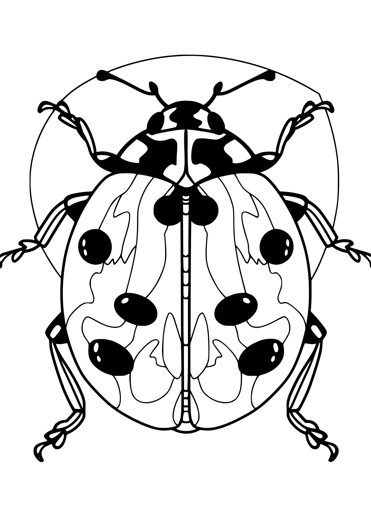 miraculous ladybug colouring pages insects, insect, head, bugs, ladybug, free coloring page downloads