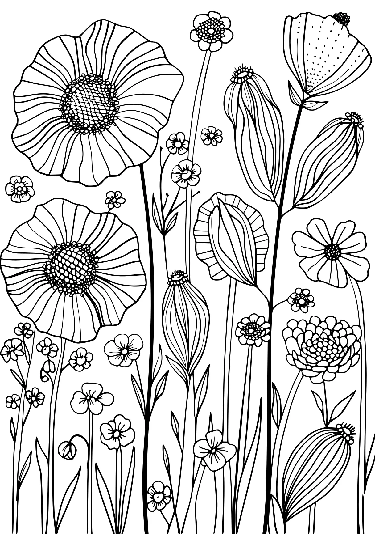 flower coloring pages, zentangle, flowers, colouring, free page downloads