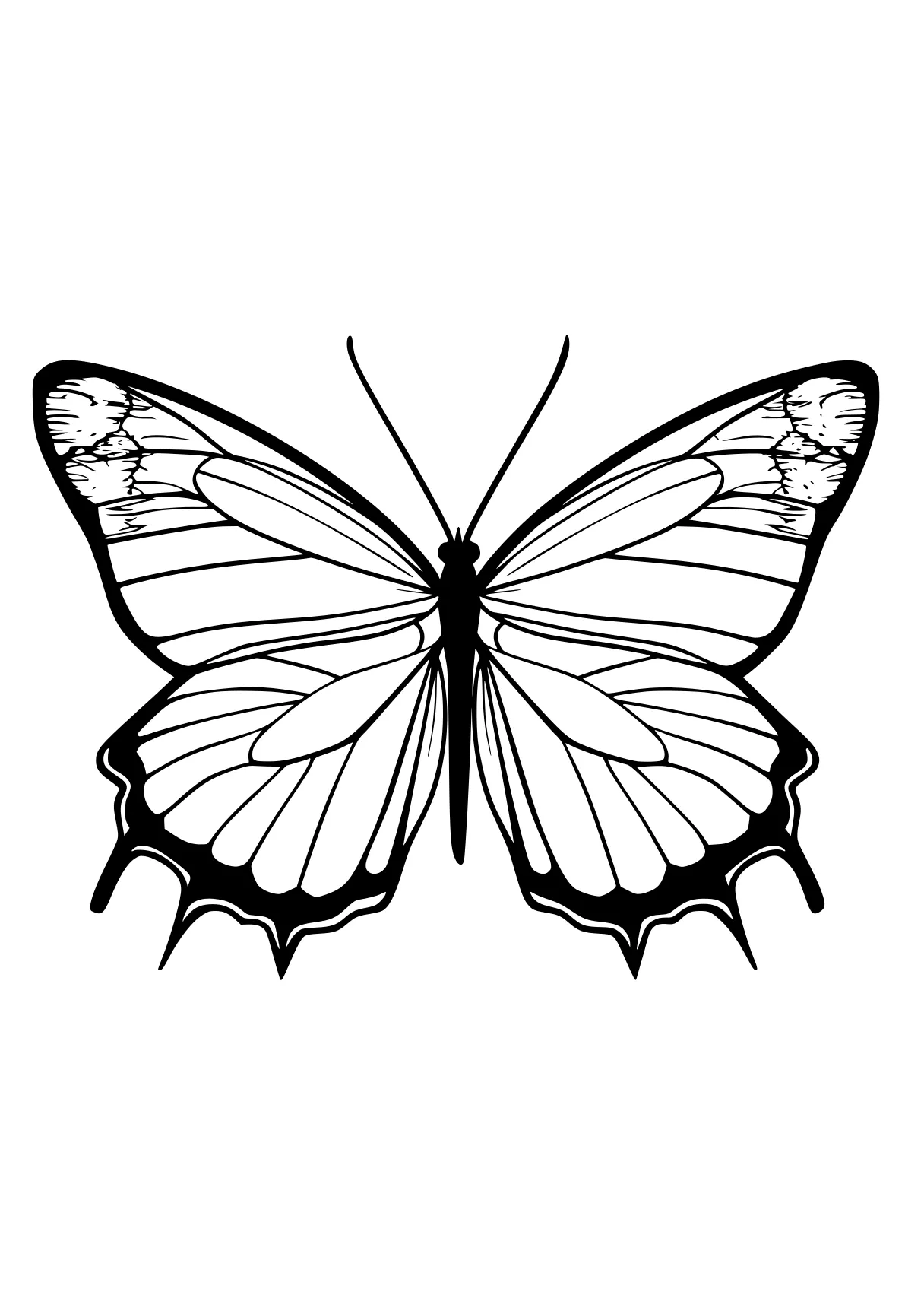 butterfly coloring pages butterfly, butterflies, insect, insects, illustrator, free page downloads