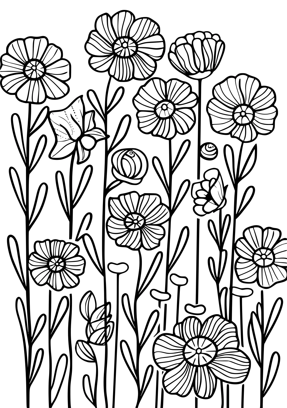 coloring pages printable flowers, flowers, zentangle, printables, free page downloads