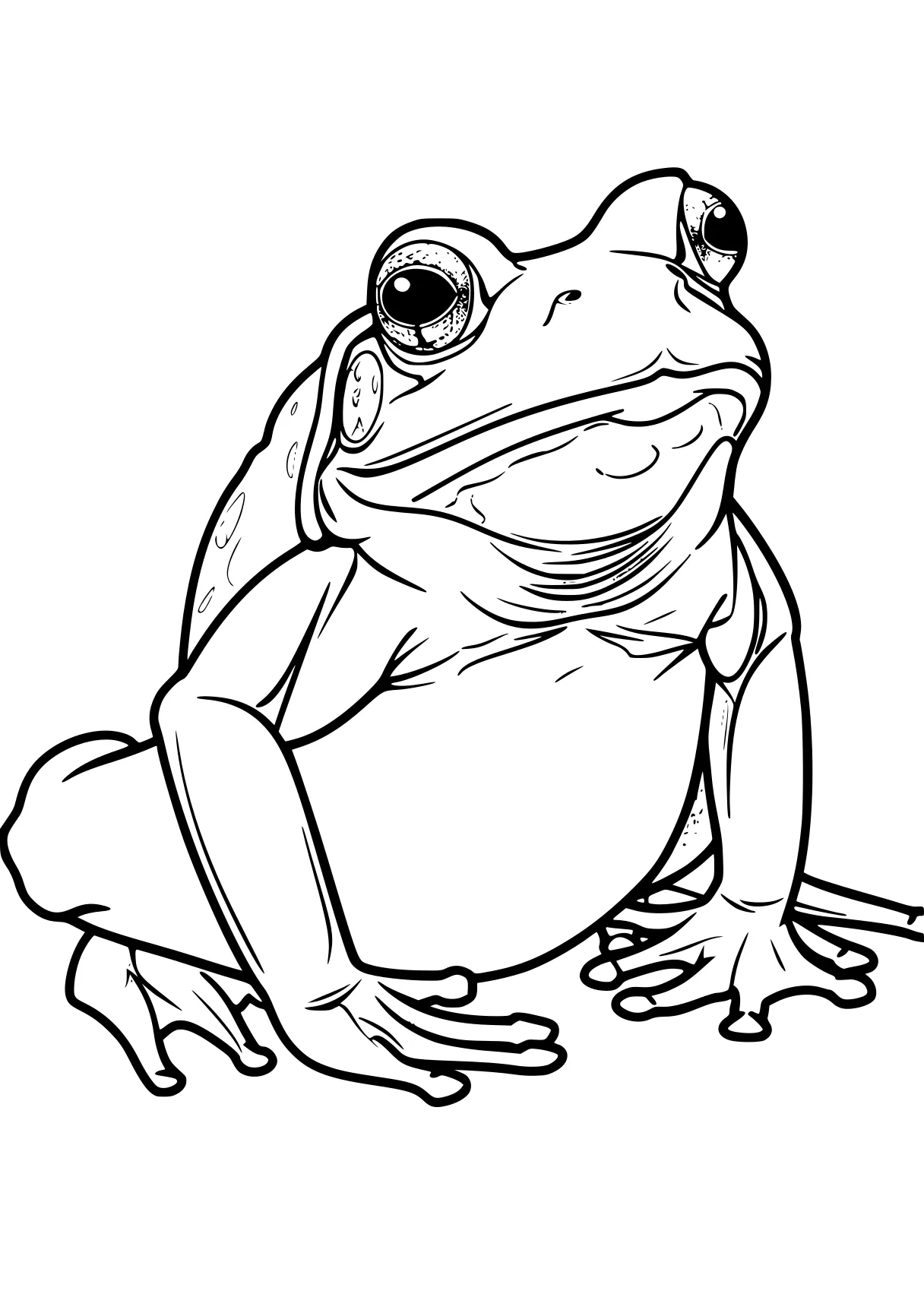 frog coloring pages frog, toad, pet, worksheets, free page downloads